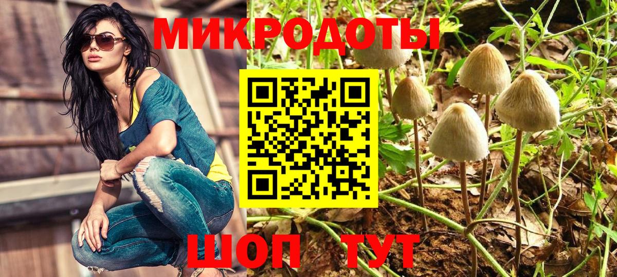 Галлюциногенные грибы Magic Shrooms Нефтеюганск